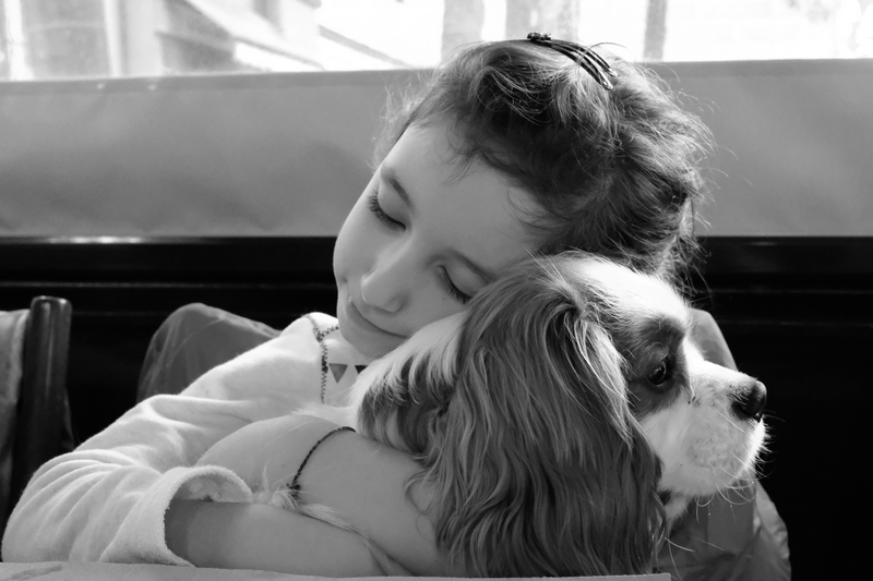 pet-photographer-fotografo-animali-cani (3)