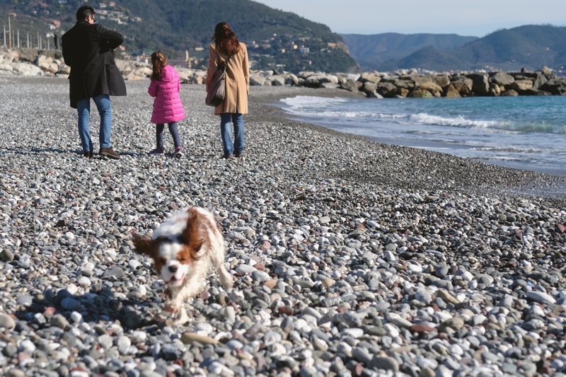 pet-photographer-fotografo-cani-chiavari-animali-compagnia (3)